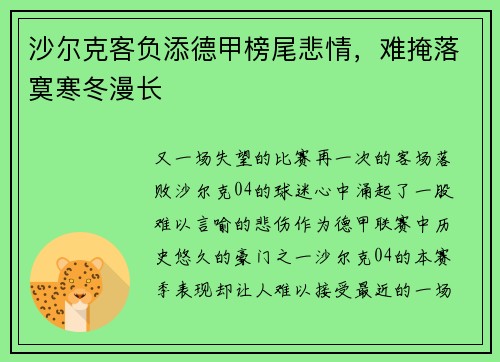 沙尔克客负添德甲榜尾悲情，难掩落寞寒冬漫长